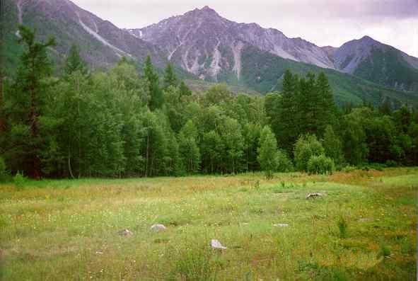 Altai